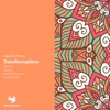 Transformations (Federico Puentes Remix) - Single