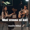 Mai Vreau Si Azi - Single