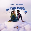 In the mood (feat. WiLDXFiRE) - Single