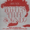 (Hey You) What's That Sound (ft. Les Rythmes Digitales) - Single, 2024