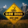 Slow Down - Single