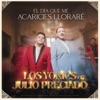 El Día Que Me Acaricies Lloraré - Single