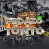 Pedazo de Tonto - Single