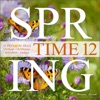 Spring Time, Vol. 12 - 18 Premium Trax: Chillout, Chillhouse, Downbeat, Lounge