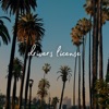 Drivers License - Single