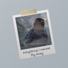 Fly Away - Single