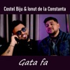 Gata fa - Single