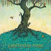 Widespread Panic - Life as a Tree