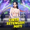 Cinta Setengah Mati - Single