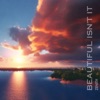 Beautiful Isn't It - Single