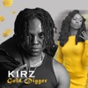 Gold Digger - Single