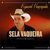 Especial Vaquejada