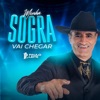 Minha Sogra Vai Chegar - Single