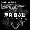 Everybody's Free (Laurent Simeca Funky Guitar Remix) - Single