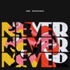 Never Never Never - Single