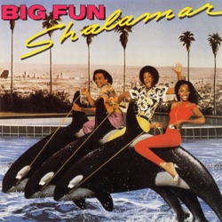 Shalamar - Right In the Socket