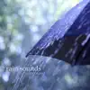Rain Sounds for Sleeping - Rain Drops Sound Effects, Thunderstom Sounds and Relaxing Meditation Music Collection album lyrics, reviews, download