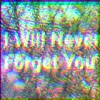 I Will Never Forget You