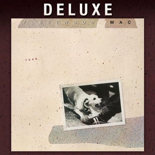 Art for Storms by Fleetwood Mac