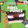 FIdel Funes Y Su Marimba Orquesta - Tanda en Homenaje Marimbas Orquestas: La Barranca / Santa Cruz Comitancillo / En la Cumbre / Que Te Ha Dado Esa Mujer / La Hossa / El Paraguas