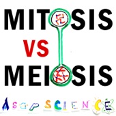 Mitosis vs Meiosis Rap Battle - Single