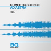 Ad Astra (La Rose Remix) artwork