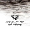 Crazy Brilliant Mess