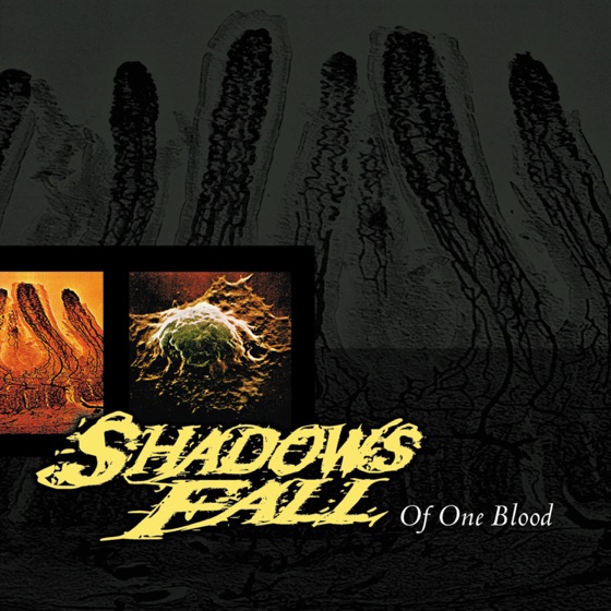 Cover artwork for Fleshold