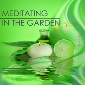 Meditating in the Garden - Zen Japanese Music with Sounds of Nature Ambience, Naturescapes for Relaxation - Zen Nadir