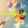Wonderful Life (feat. Pearl Andersson) [Remixes]