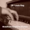Me-Ow One Step - Waldham Ragtime Pianos lyrics