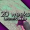 20 Weeks (feat. Ville & Patrik) - Leonell Cassio lyrics