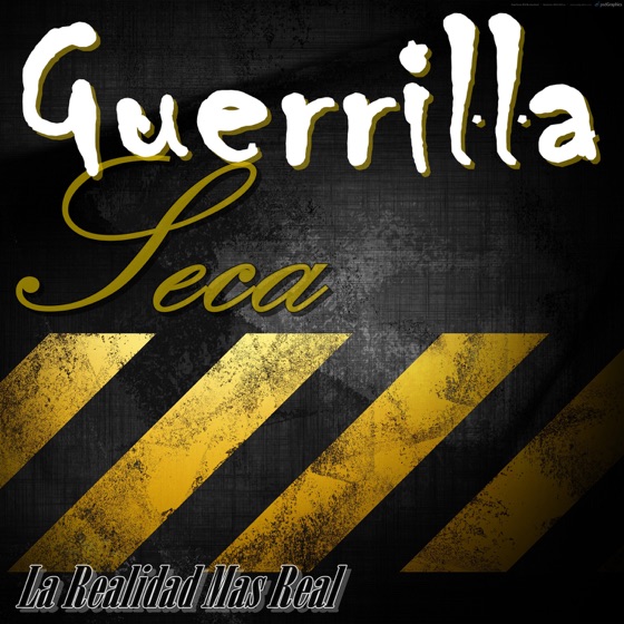 Cover artwork for Mala Conducta