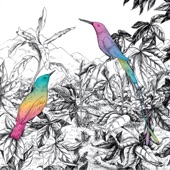 Two Birds - EP artwork