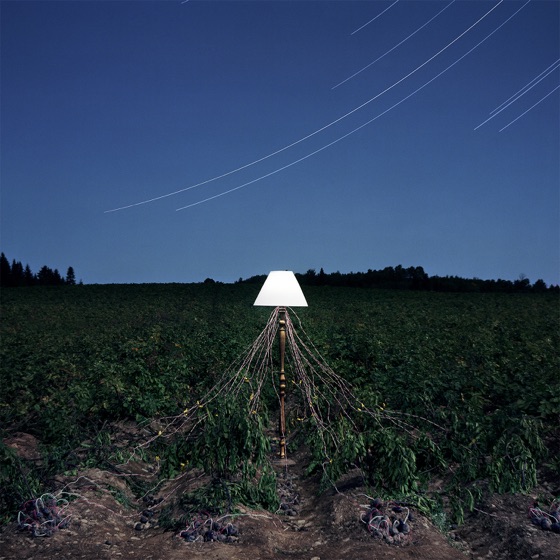 Cover artwork for IM U