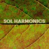 Sol Harmonics, 2015