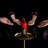 Red Bird