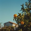 Bergamot - Single