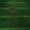 new threads - Free Rock