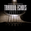 Guitar Instrumentals - Peaceful Guitar Music