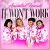 It Won't Work - Single