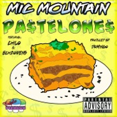 Mic Mountain - Pastelones