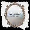 Too Important - Single