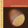 Na Przedmieściach - Single