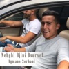 Nebghi Djini Bsurvet - Single