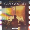 Glad You Did - Single