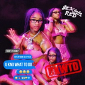 U Kno What To Do (UKWTD) by Sexyy Red