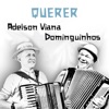 Querer - Single