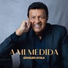 A Mi Medida - Single