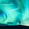 Polar Dawn (Mahmoods Remix) - EP